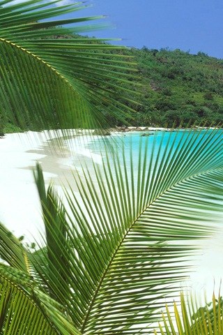 Андрей Кулагин 