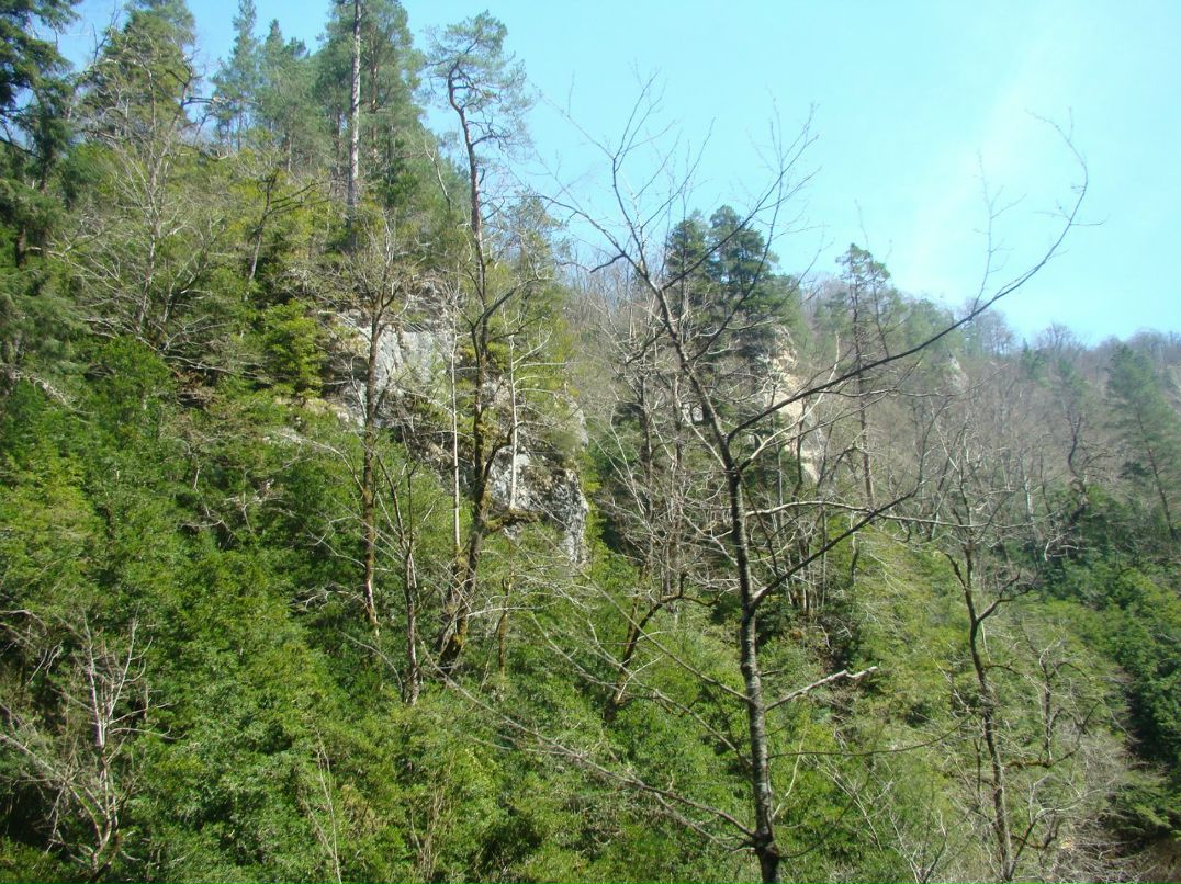 Марина Чурило | Краснодар