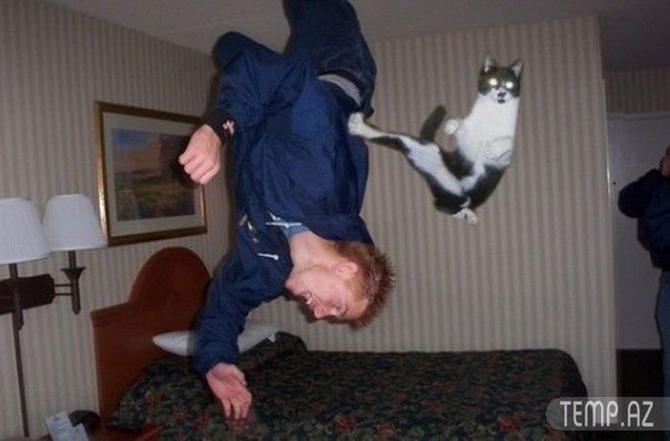 Ваня Александрович OFF-LINE | 