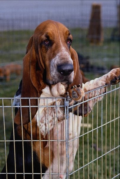 №7, Ляйсан Мухарямова №7, Ляйсан Мухарямова