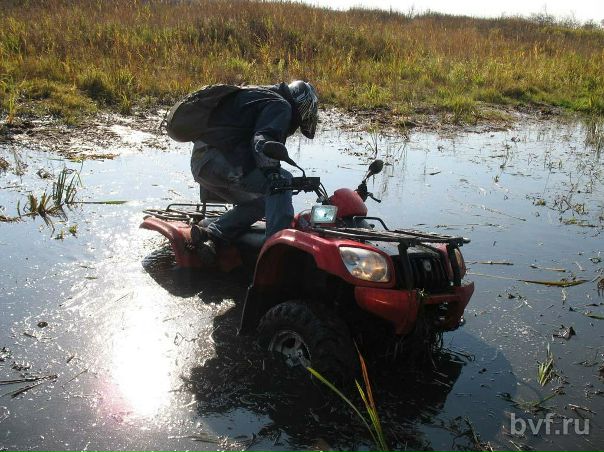 №5, Виталий Смирнов, Воронеж №5, Виталий Смирнов, Воронеж