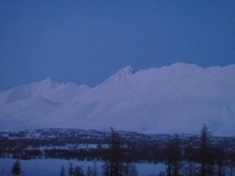 Евгений Кузнецов | 