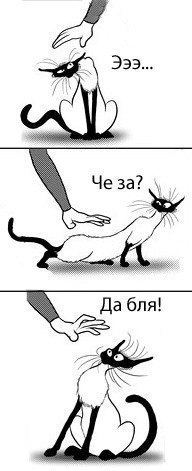 Ирина Чагаева | Кемерово