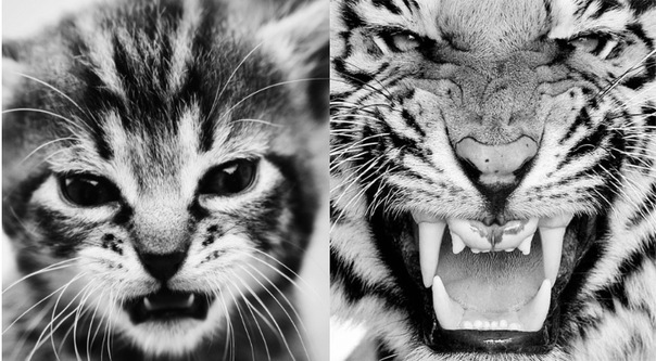 №199, Ekaterina Sudarikova, Тольятти, Россия №199, Ekaterina Sudarikova, Тольятти, Россия