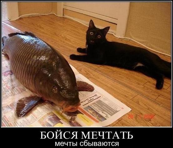 Оксана Борисова | Москва