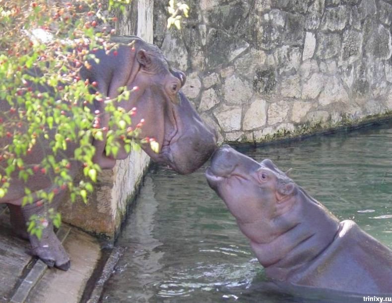 Людмила Тарабурина | Москва