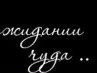 Елена Никитина | Бор