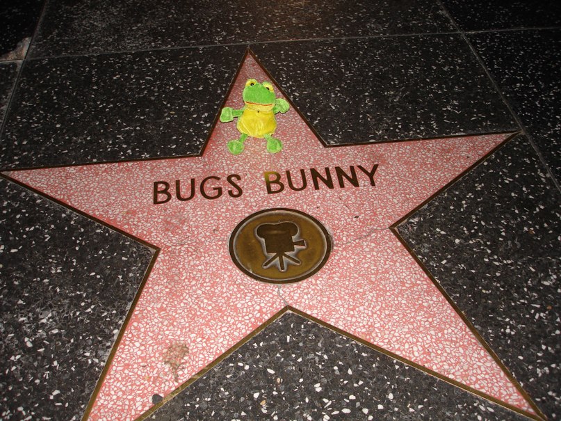 Лягуха Зырящая | Санкт-Петербург