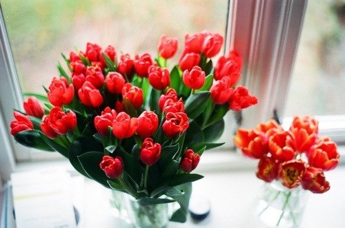 Раксана Аязгулова | Уфа