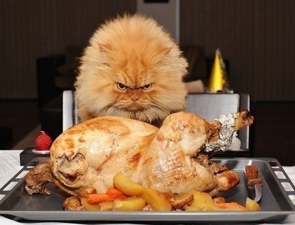 Саня Киреев | Санкт-Петербург