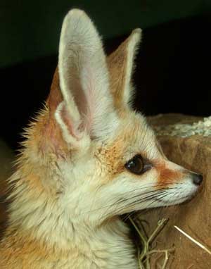 Андрей Грицина | Пермь