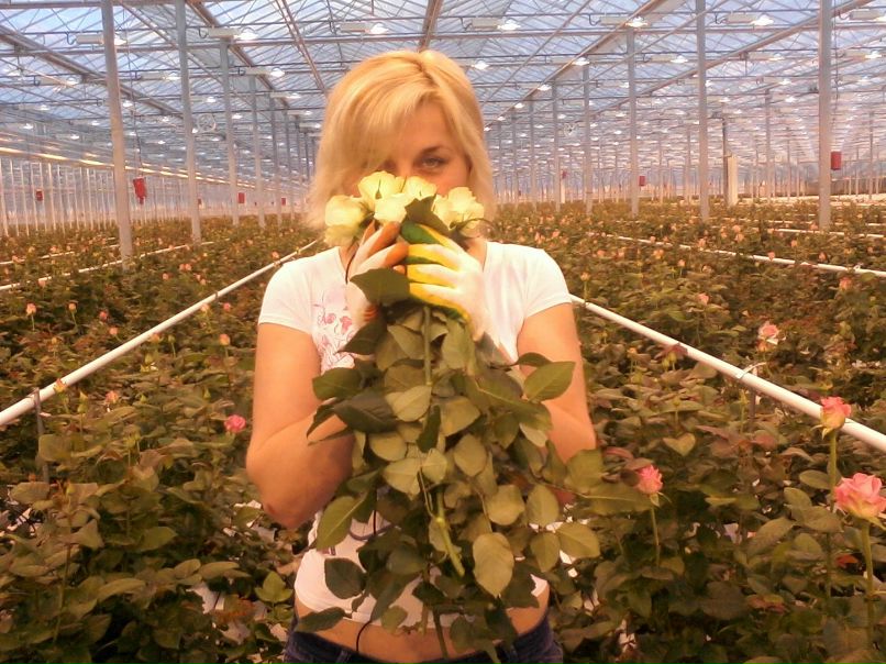 Надежда Сердюкова | Гальчино