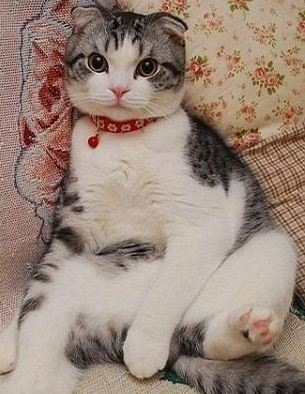 №14, Полина Цуль №14, Полина Цуль