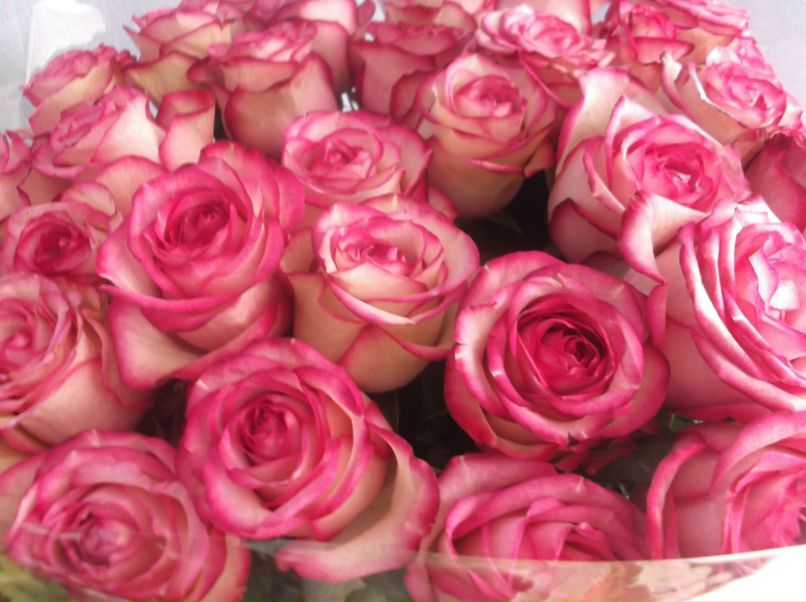 Айгуль Камалова | Казань