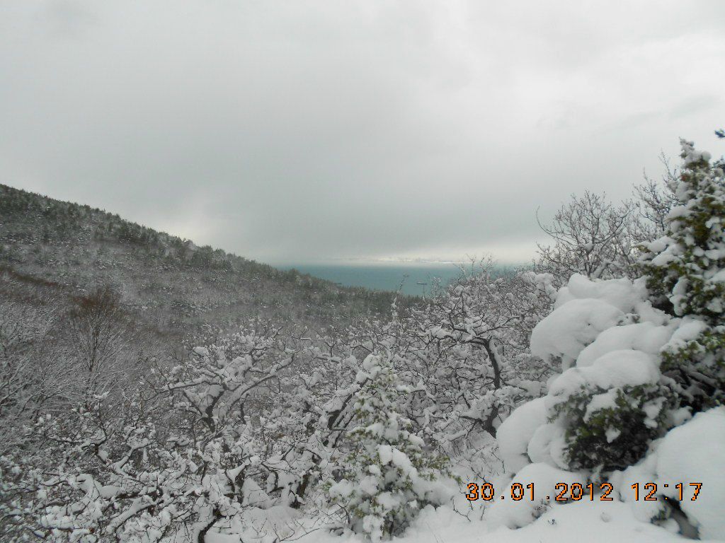 Антон Ирсмамбетов | Кабардинка