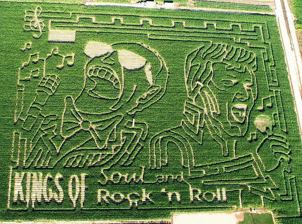 Надин Лисовская | 