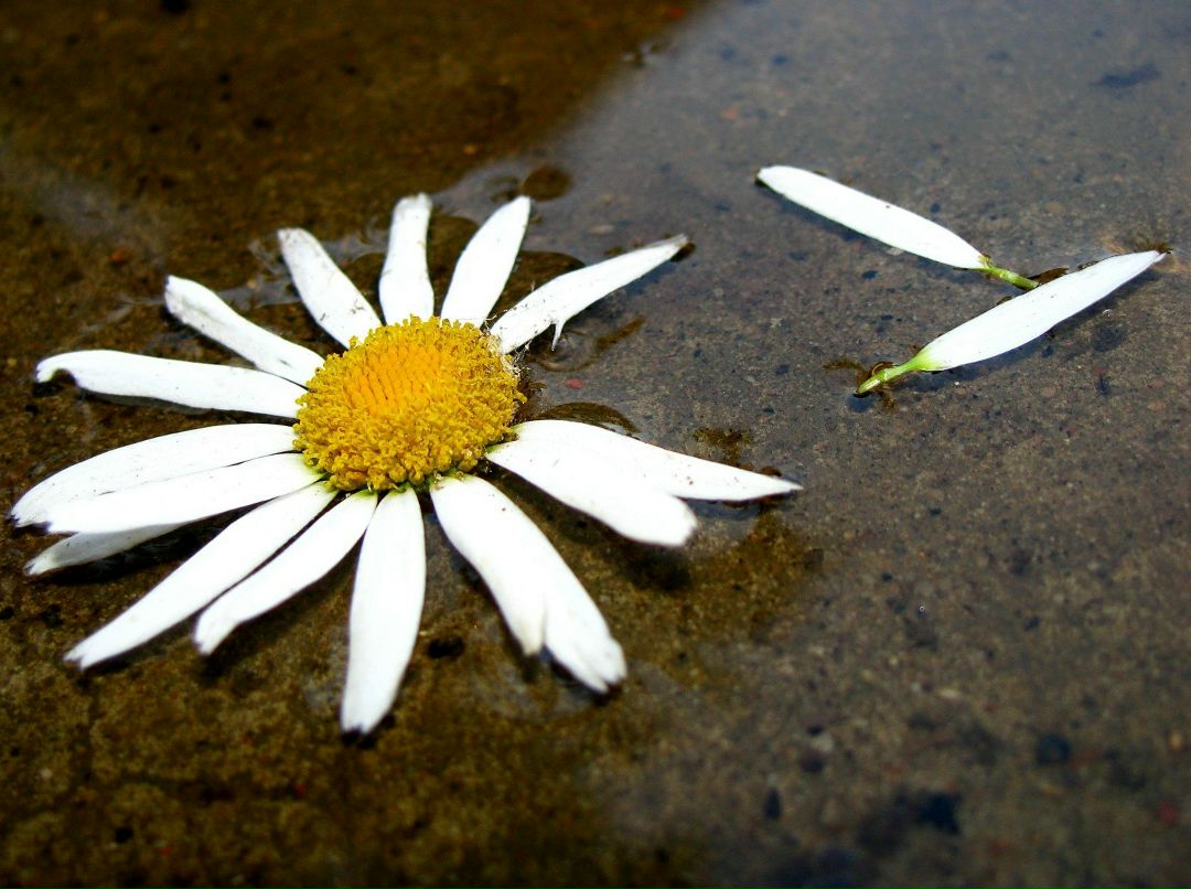 Таня Логвиненко | Киев