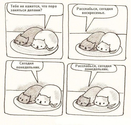 №109, Мария №109, Мария