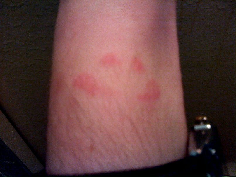 Александр Фроленко | Красноярск