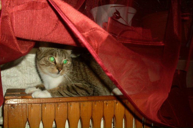 Галина Дементьева | Северодонецк