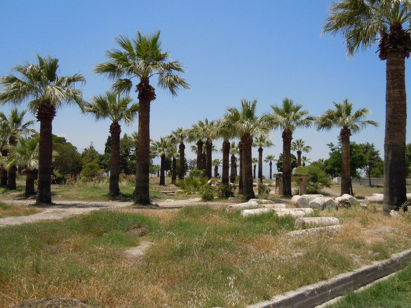 Денис Савенков | 