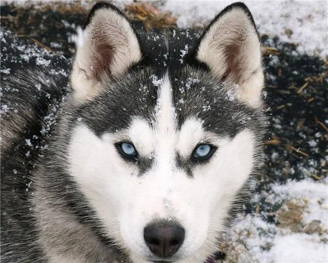 Юля Марьянова | Хмельницкий