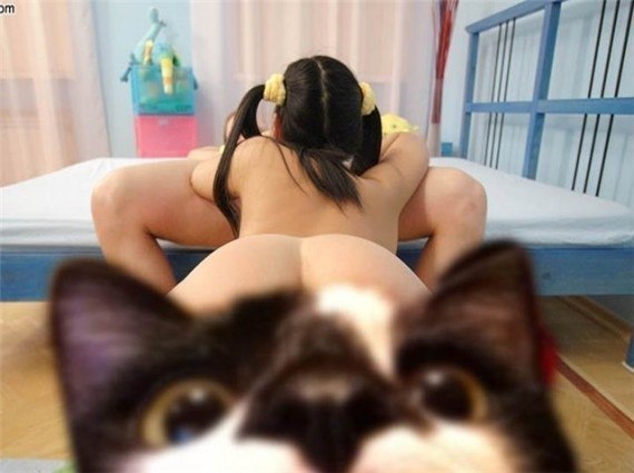 Дмитрий Гедзь | Киев