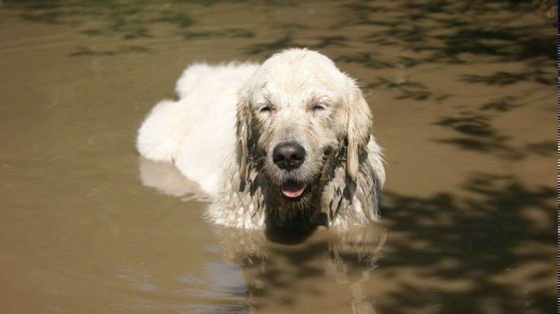 Анастасия Костина | Балаково