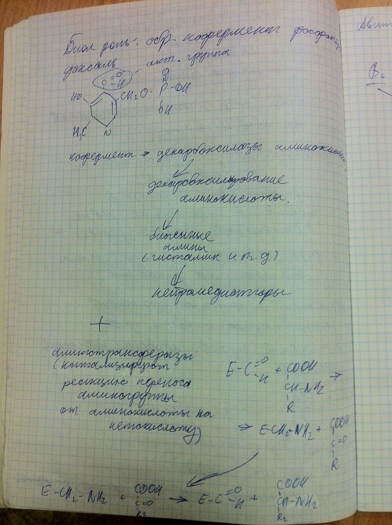 Эльтаир Дженкинс | Санкт-Петербург