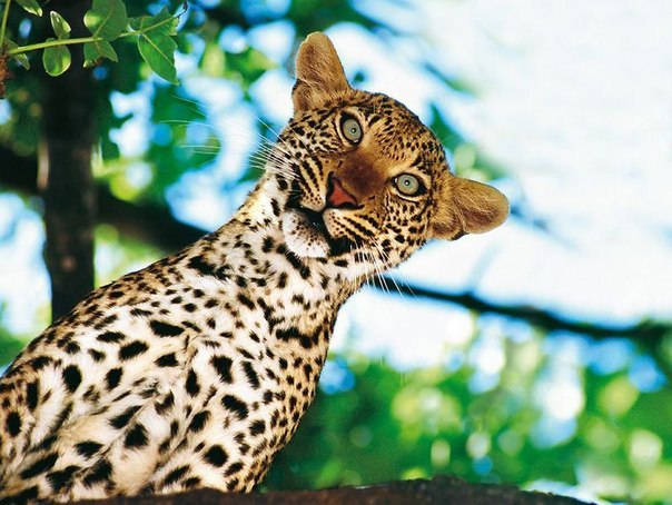 Sashka Sashka ⎝⏠⏝⏠⎠ | 