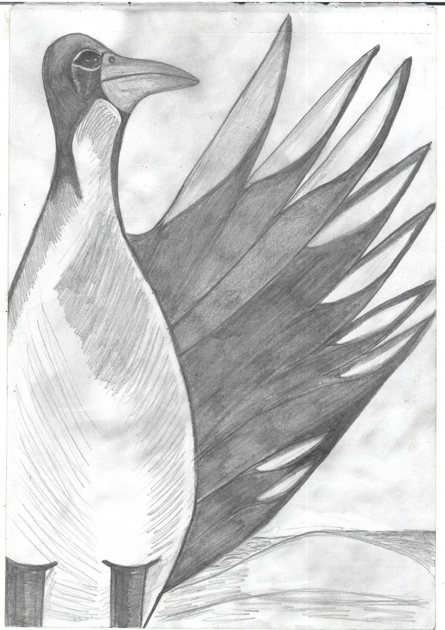 Александр Воробьев | Киев