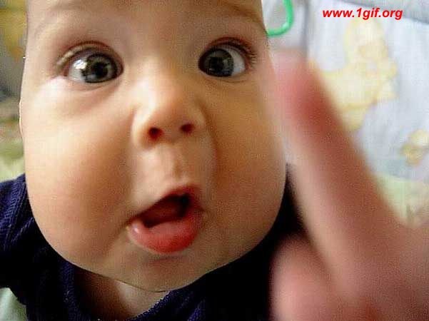 Максим Колесник | Довбыш