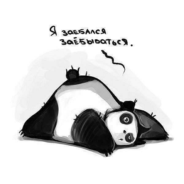 №19, Александр Мех, 42 года, Чернигов №19, Александр Мех, 42 года, Чернигов