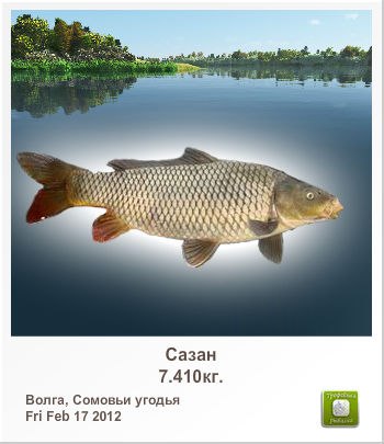 Александр Косых | 