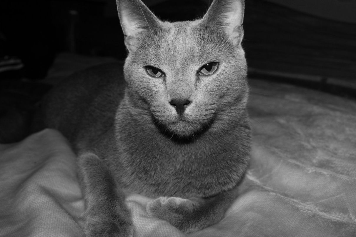 Оксана Борисова | Санкт-Петербург