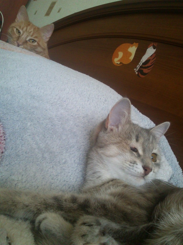 Евгений Маклаковъ | Оренбург