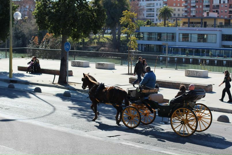 Вера Ганеева | Москва