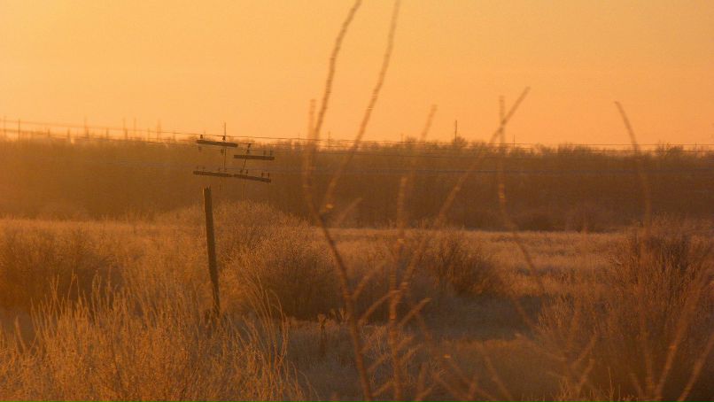 Александр Засимович | Волгоград