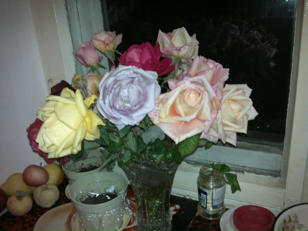 Ольга Шекурова Викторовна | Волгоград