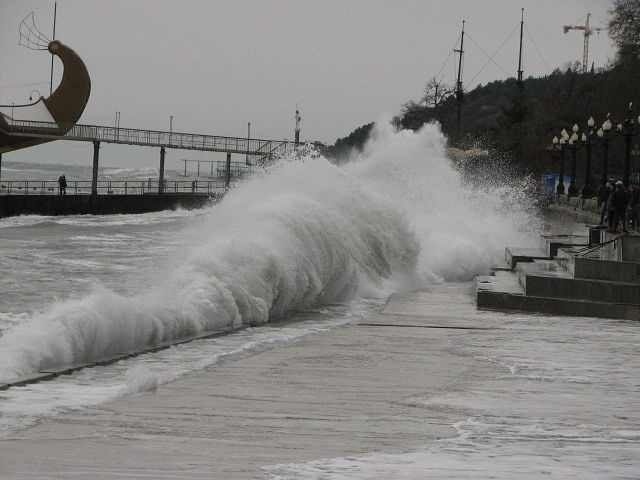 Елисей Бороздин | Ялта