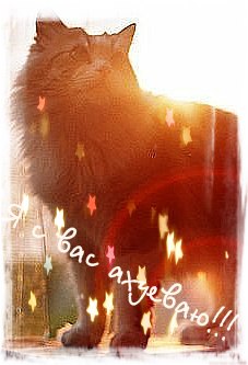 №33, Виктория Сидорская №33, Виктория Сидорская