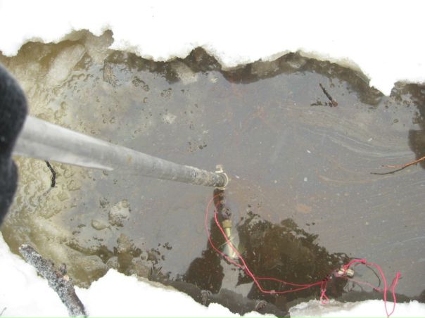 №117, Елена Чарушина, 38 лет, Санкт-Петербург №117, Елена Чарушина, 38 лет, Санкт-Петербург