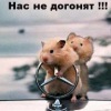 Аватар: Brain Okonar