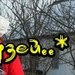 Элина Штейнбрехер фотография #35