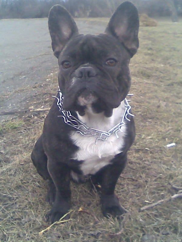 Денис Гончаров | Курахово