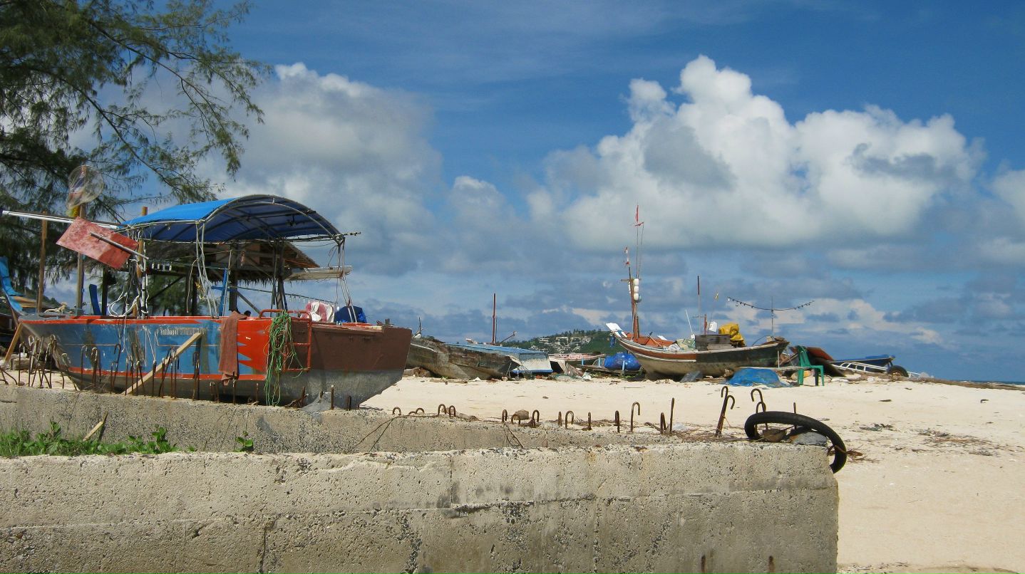 Дмитрий Шилков | Минск