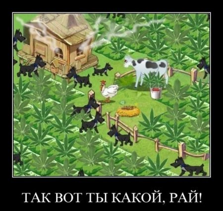 Андрей Кириленко | 