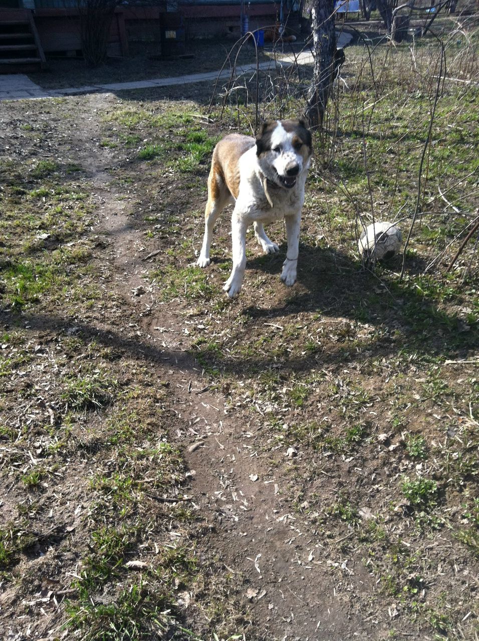 Анастасия Клементьева | 