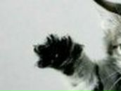 Анастасия Карсакова | Уфа