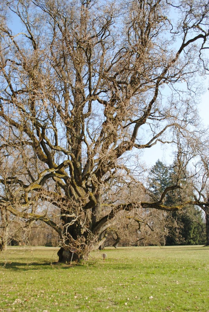 Анна Тимошкова | Москва